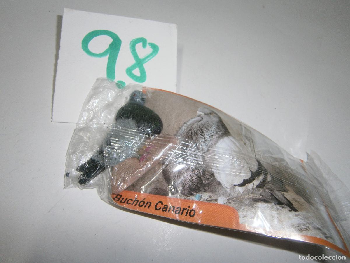 Rubber and PVC Figures: AVES DE CANARIAS Y DEL MUNDO - BUCHON CANARIO