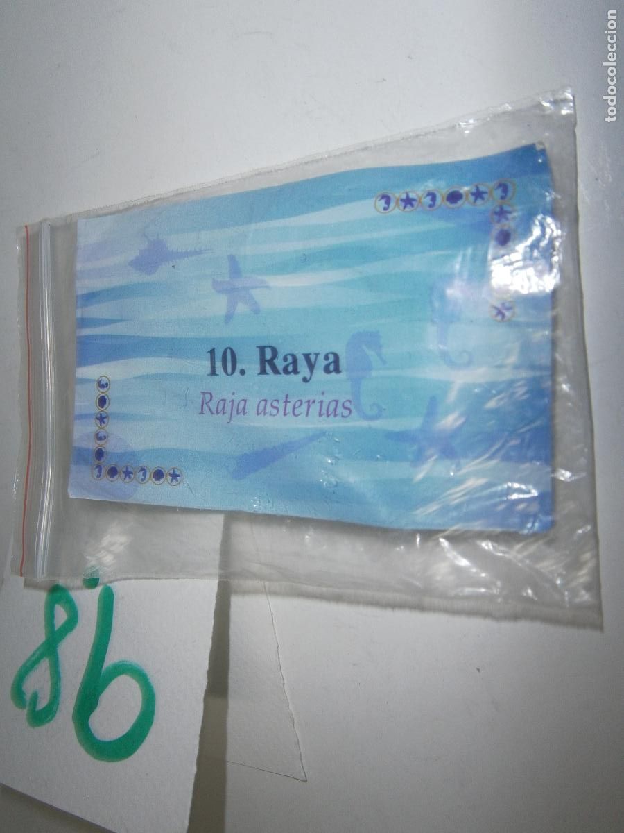Figuras de goma y PVC: PECES DE CANARIAS Y DEL MUNDO - RAYA - Foto 2