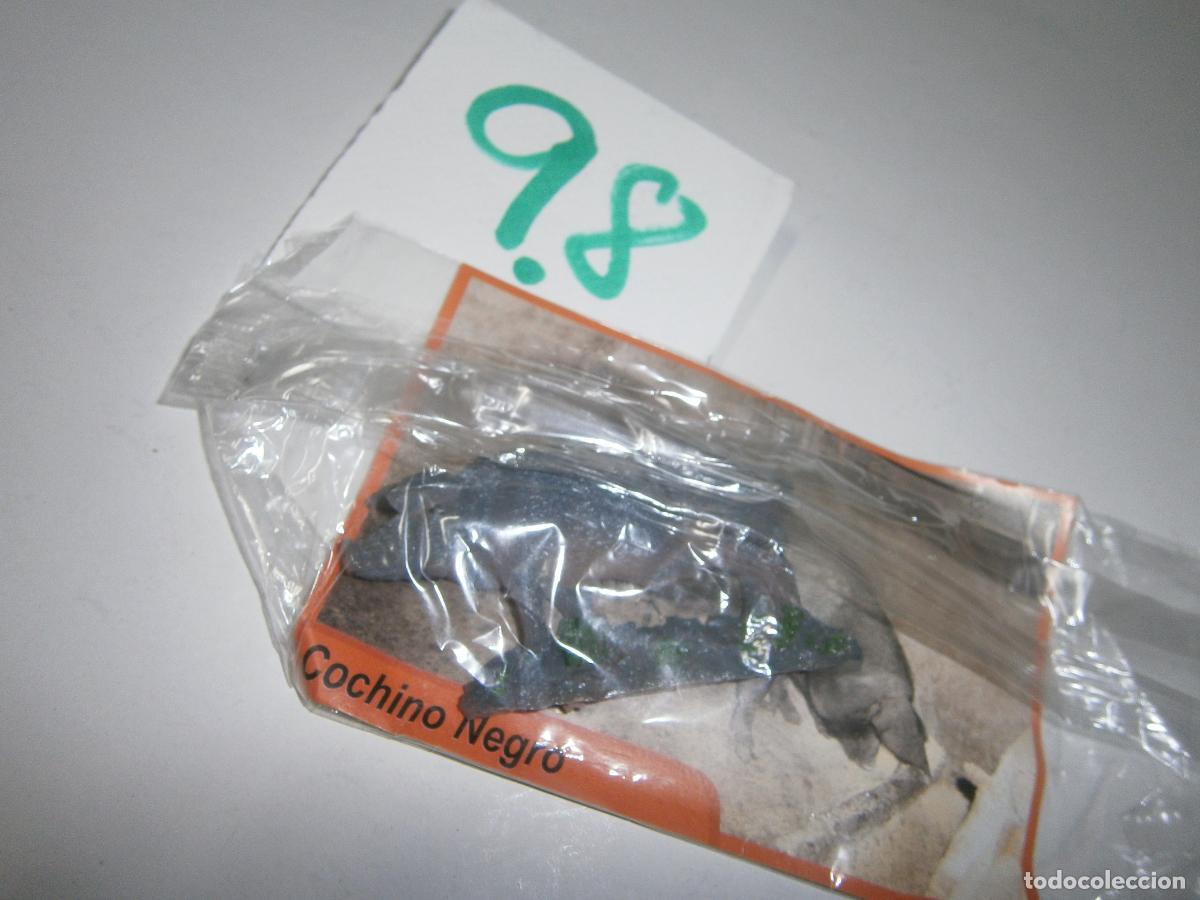 Figure di Gomma e PVC: ANIMALES DE CANARIAS Y DEL MUNDO - COCHINO NEGRO