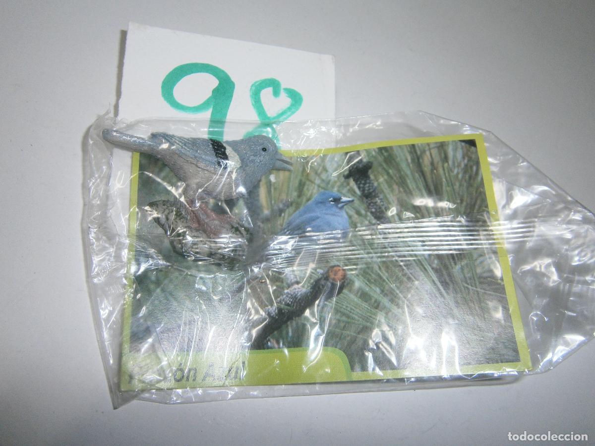 Figuras de Borracha e PVC: ANIMALES DE CANARIAS Y DEL MUNDO - PINZON AZUL