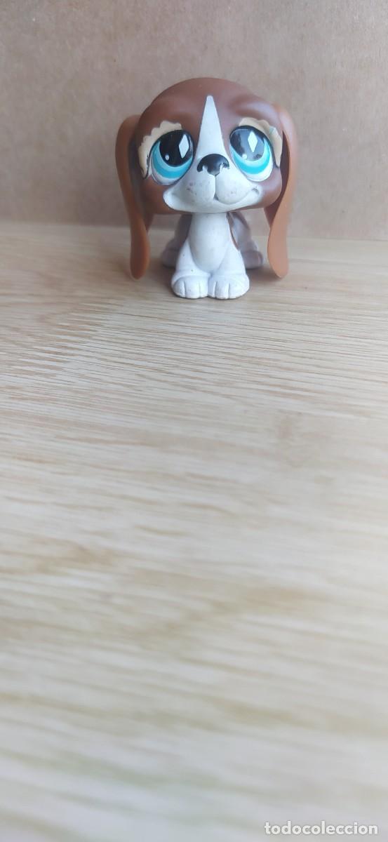 Figuras de goma y PVC: LITTLEST PET SHOP LPS PERRO - Foto 1