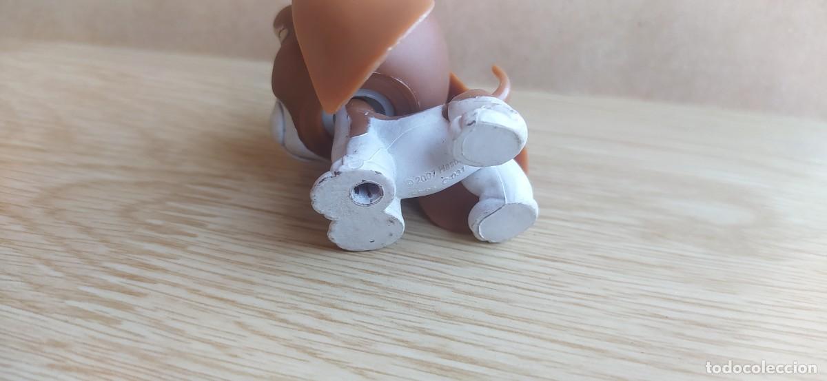 Figuras de goma y PVC: LITTLEST PET SHOP LPS PERRO - Foto 5