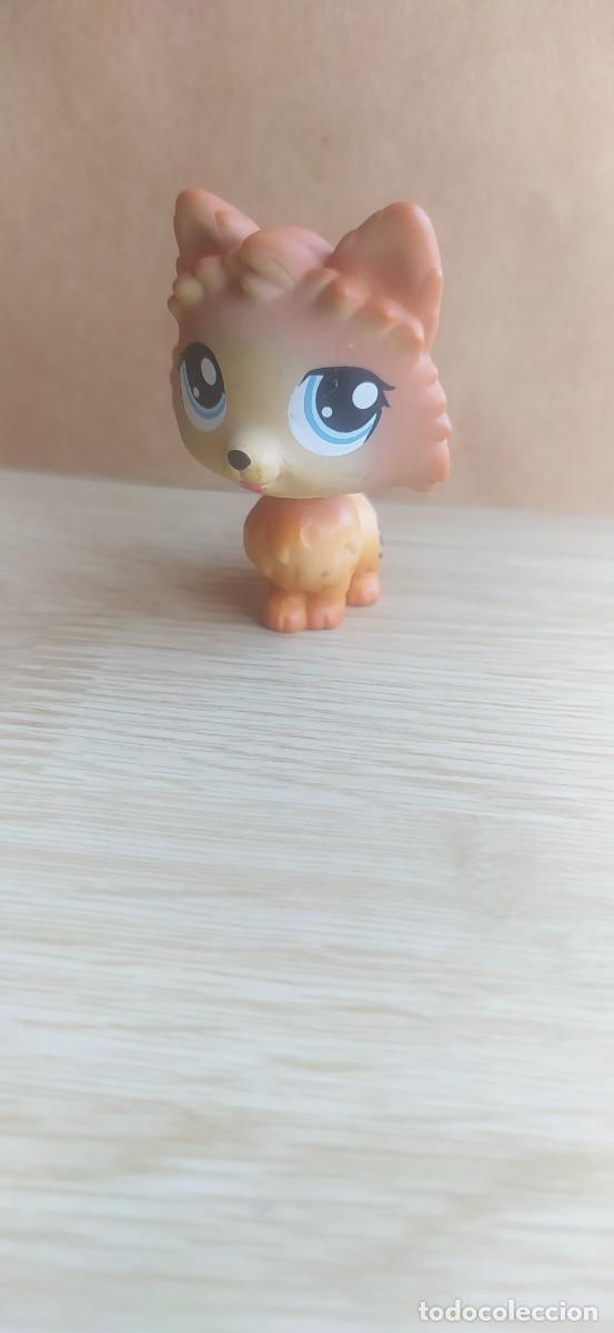 Figuras de goma y PVC: LITTLEST PET SHOP LPS PERRO - Foto 1