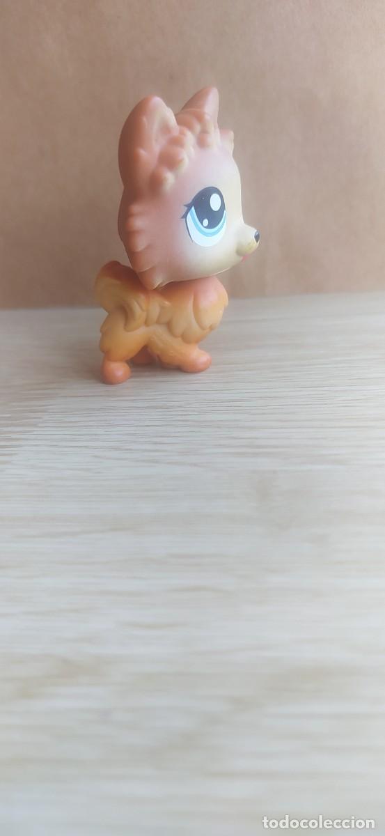 Figuras de goma y PVC: LITTLEST PET SHOP LPS PERRO - Foto 4