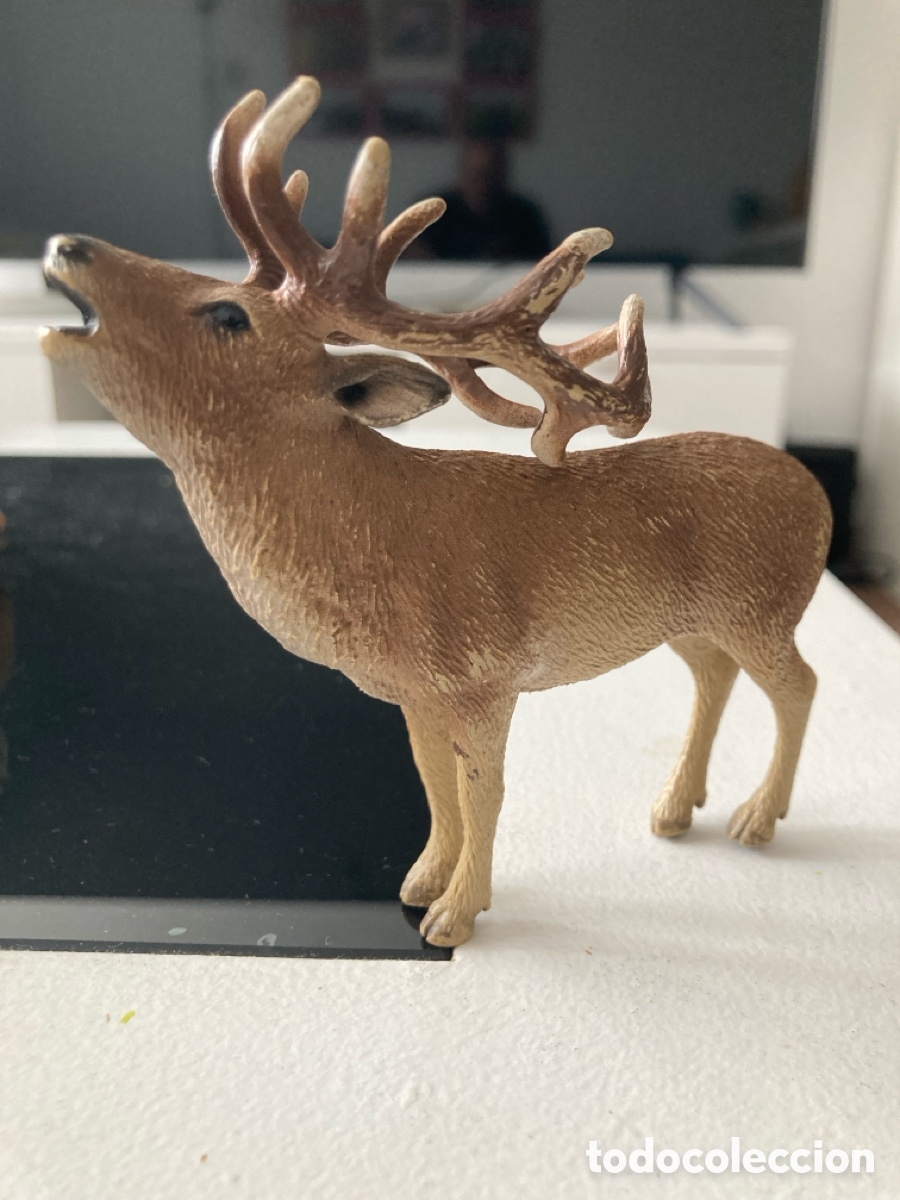 Figuras de goma y PVC: Animales de coleccion Schleich - Foto 3