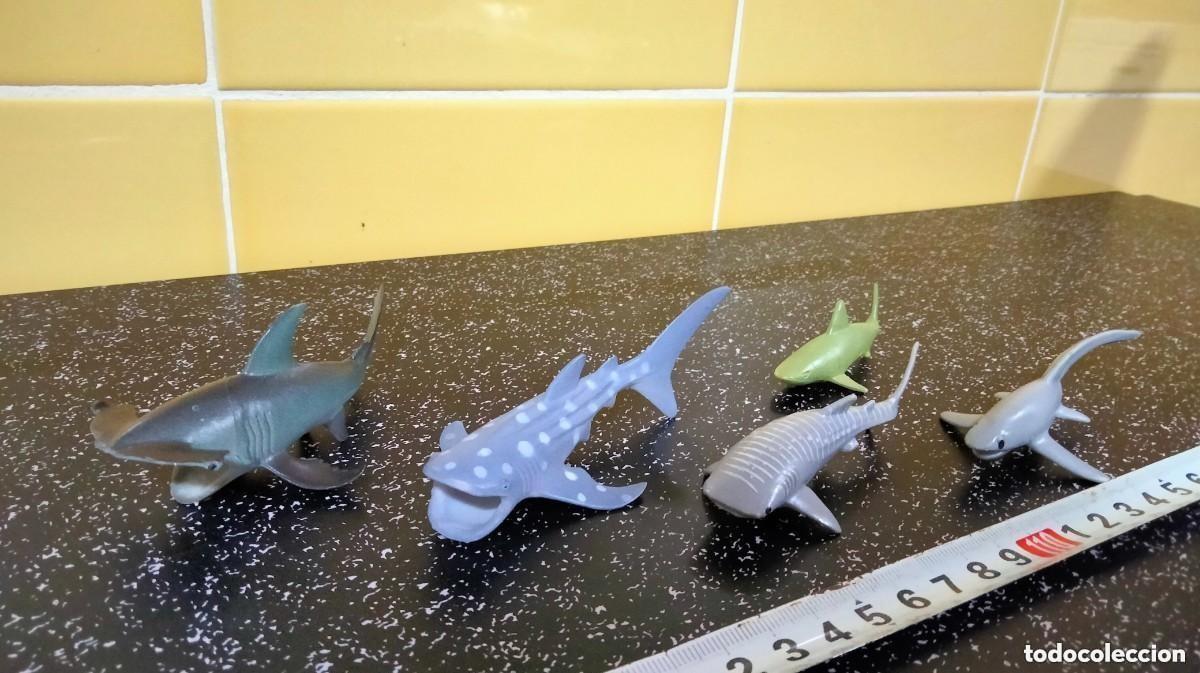 Figuras de goma y PVC: CINCO FIGURAS TIBURONES DE PVC - Foto 1