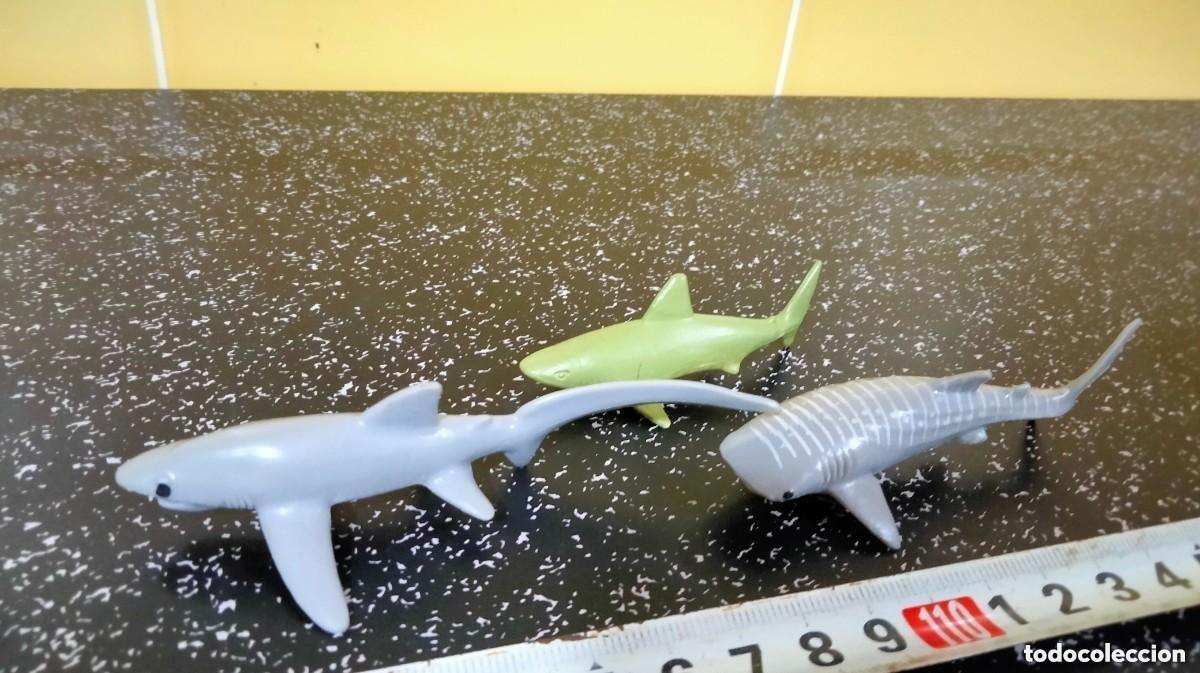 Figuras de goma y PVC: CINCO FIGURAS TIBURONES DE PVC - Foto 2