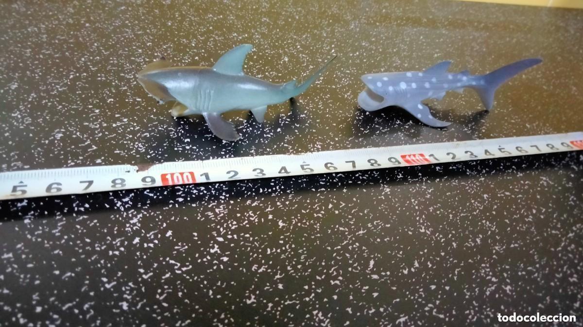 Figuras de goma y PVC: CINCO FIGURAS TIBURONES DE PVC - Foto 3