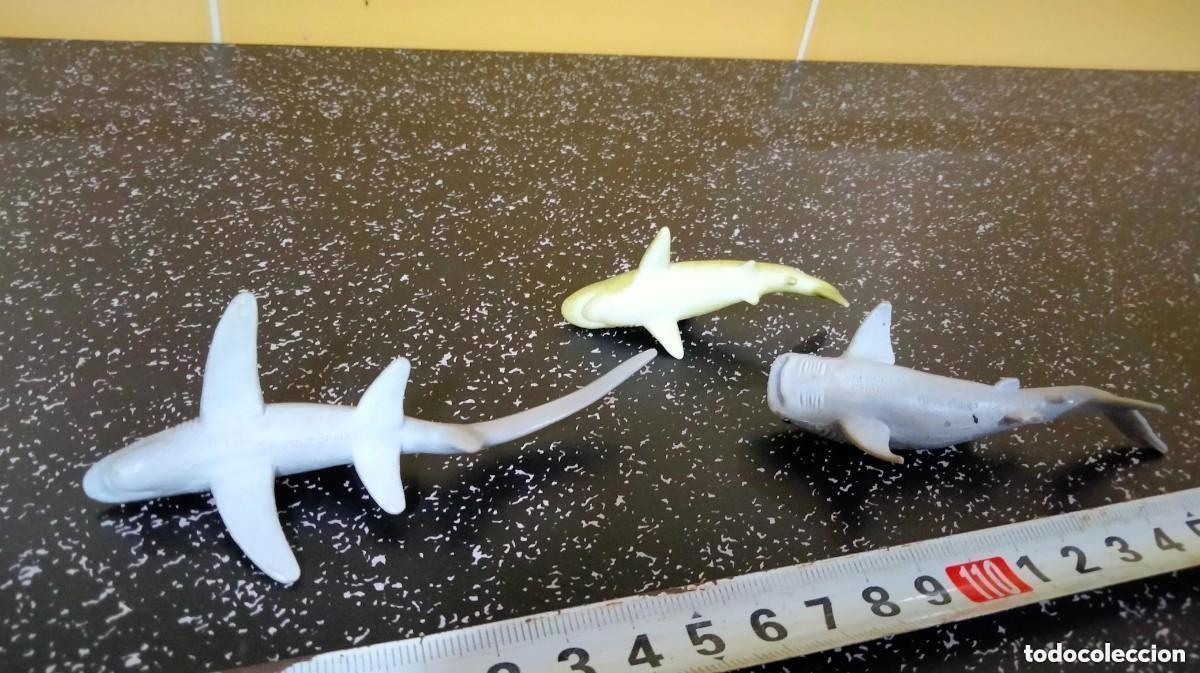 Figuras de goma y PVC: CINCO FIGURAS TIBURONES DE PVC - Foto 5