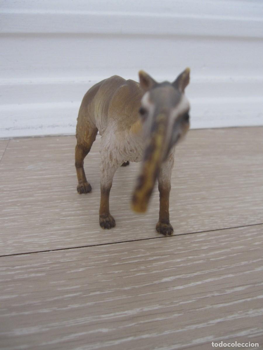 Figuras de goma y PVC: MACRAUCHENIA SCHLEICH - Foto 3