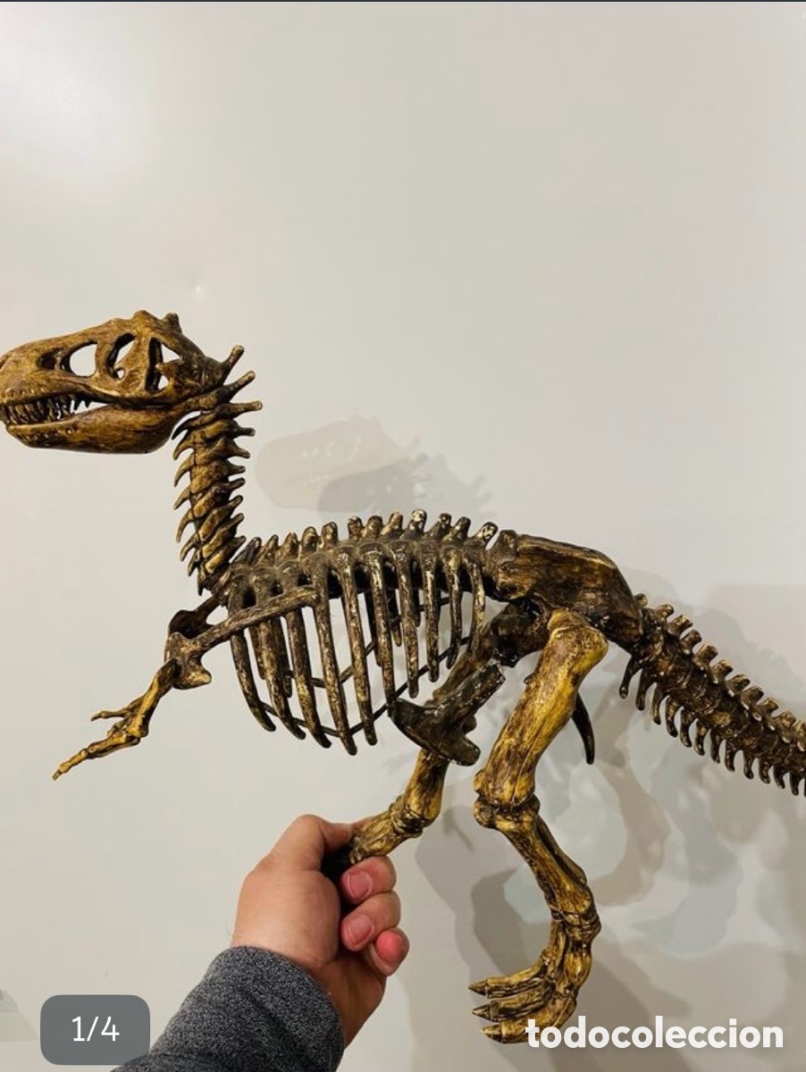 Figuras de Goma y PVC: R&eacute;plica esqueleto T-Rex