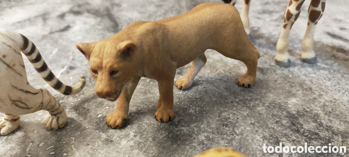 Figuras de goma y PVC: 8 Figuras de Animales Schleich - Foto 17