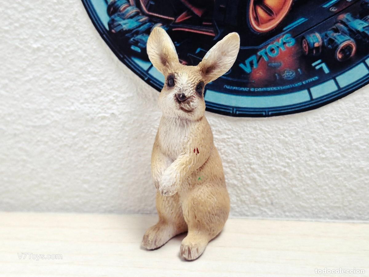 Figuras de Goma y PVC: Figura Conejo Schleich 5,5cm