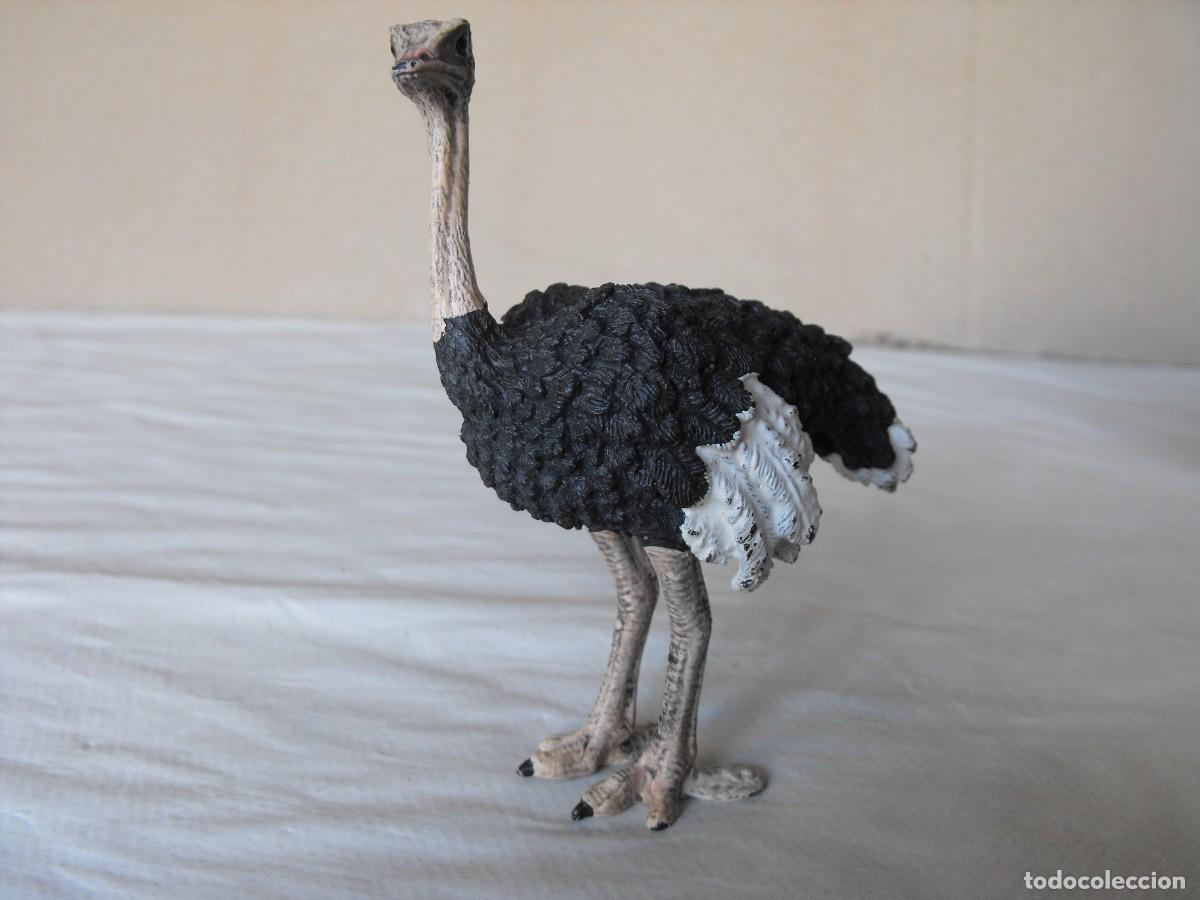Gummi- und PVC-Figuren Schleich: SCHLEICH. Figura de avestruz. 10 cm. de altura.