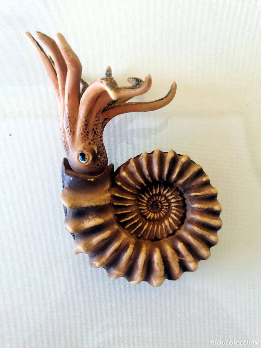 Figuras de Goma y PVC: Figura de amonites Bullyland amonites &lrm; 15,29 x 8,51 x 9,3 cm;