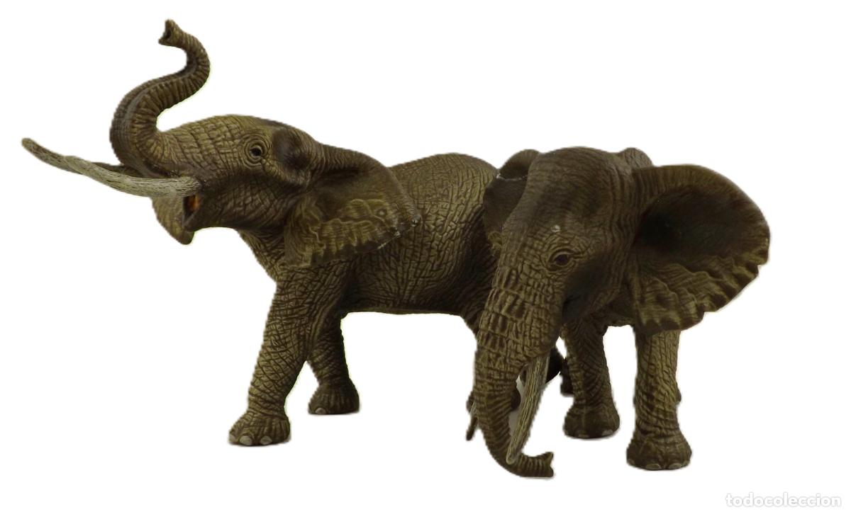Figuras de Goma y PVC: Sleich pareja de elefantes