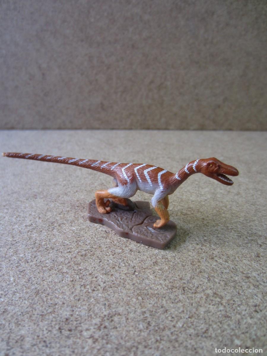 Figuras de Goma y PVC: Coelophysis Dinosaur King (Sega Playmates Toys)