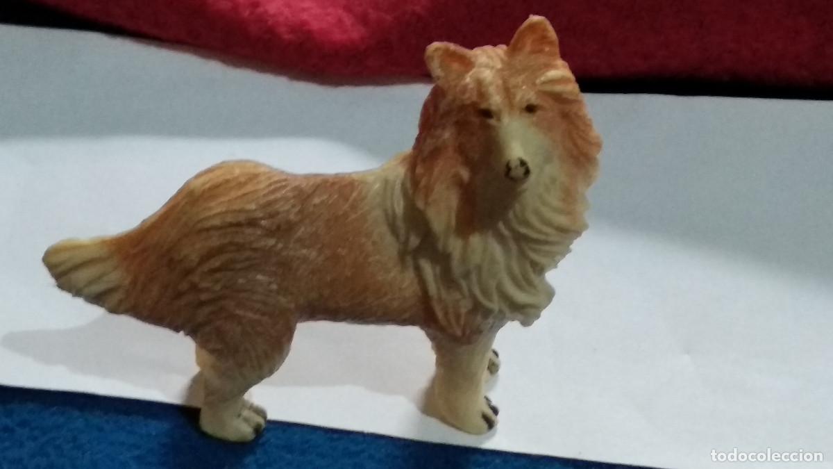 Figuras de Goma y PVC: Figura PVC PET ACADEMY DIRAMIX PERRO Collie MIDE 4&acute;5 X 6 CM