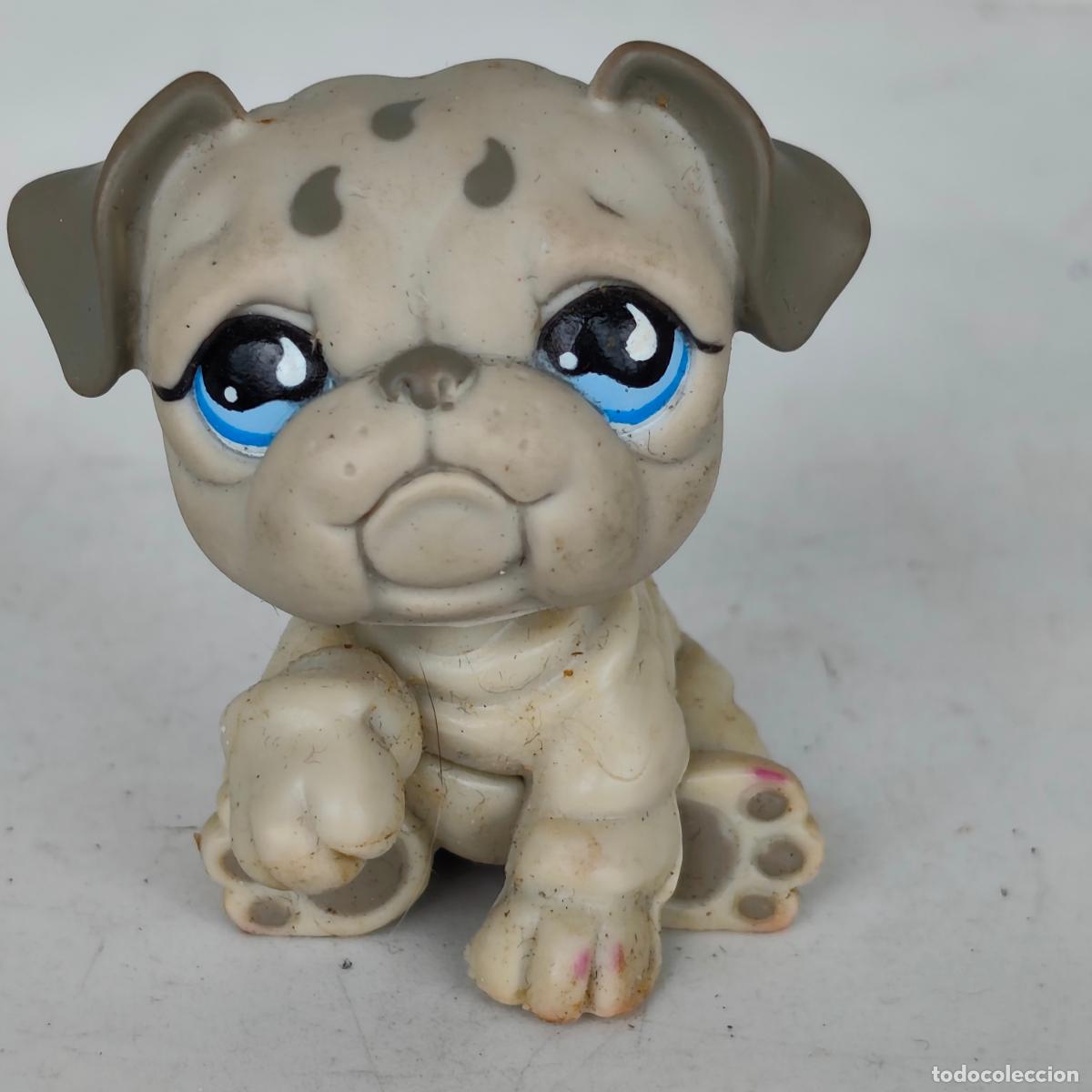 Gummi- und PVC-Figuren: Aut&eacute;ntico perro Bulldog gris Littlest Pet Shop LPS #508, ojos l&aacute;grima azul