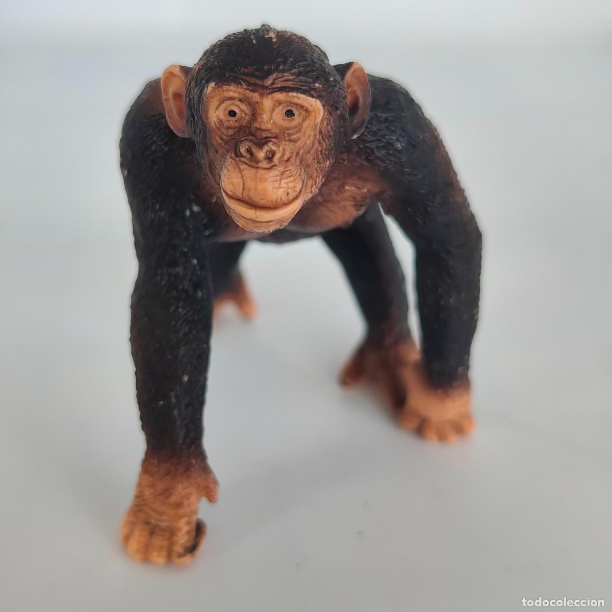 Figuras de goma y PVC: chimpanc&eacute; gmund mono simio animal selva