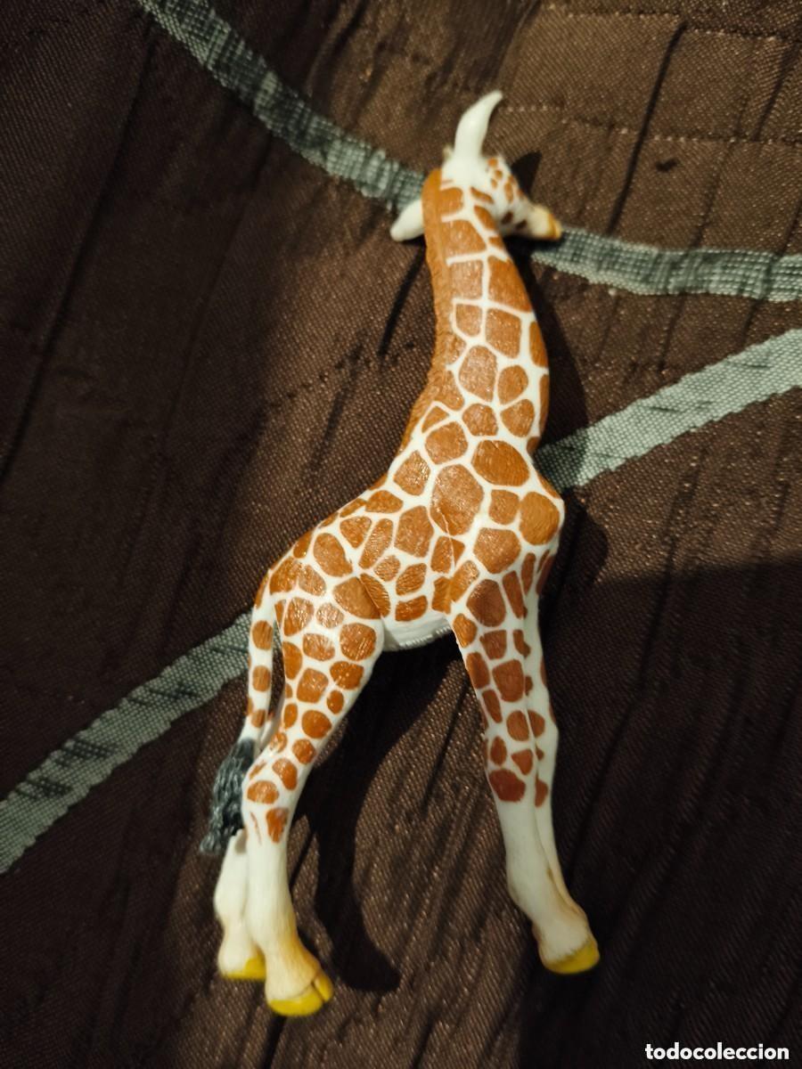 Figure di Gomma e PVC: Animales Schleich-Schleich Figura Cr&iacute;a Jirafa 14751