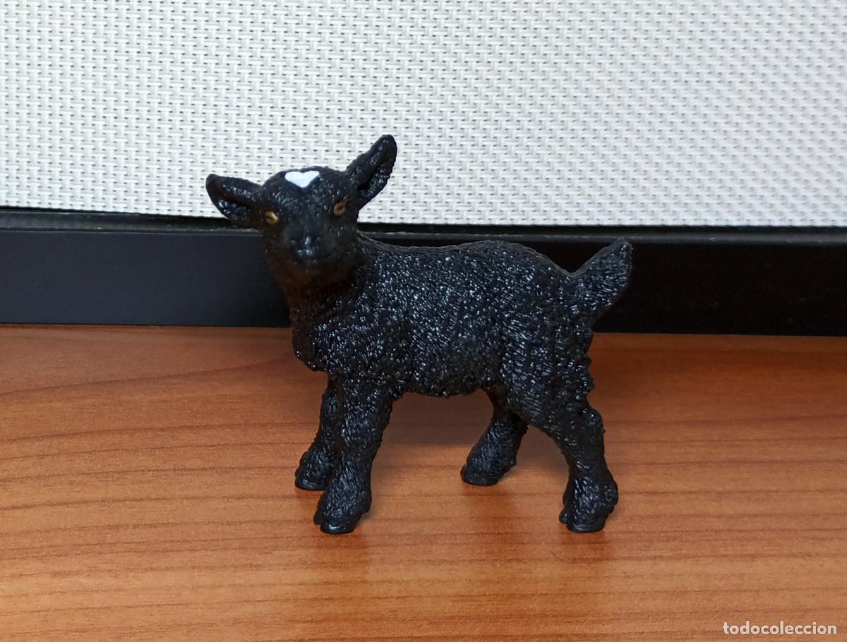 Figuras de goma y PVC: Figura Schleich - Cabritillo negro - Ref. 17087 - A&ntilde;o 2021 a 2022 - Descatalogada