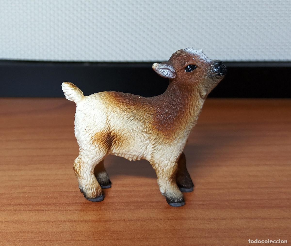 Figuras de goma y PVC: Figura Schleich - Cabritillo enano - Ref. 13716 - A&ntilde;o 2012 a 2016 - Descatalogada