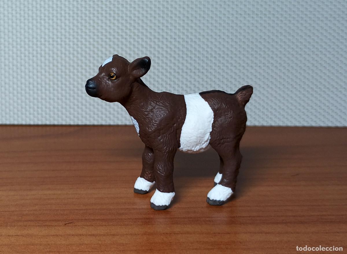 Figuras de goma y PVC: Figura Schleich - Cabritillo dom&eacute;stico - Ref. 14888 - A&ntilde;o 2024