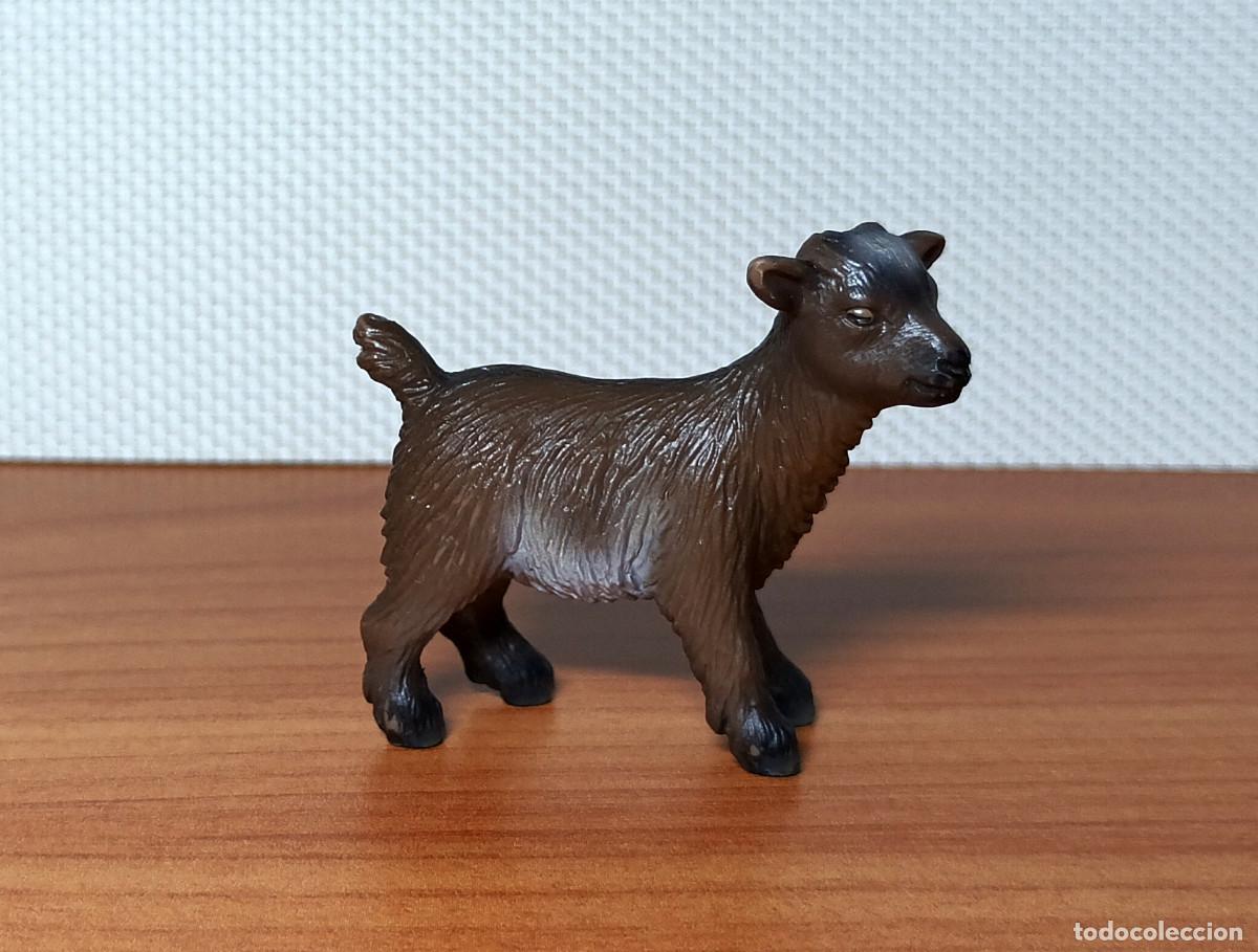 Figuras de goma y PVC: Figura Schleich - Cabritrillo enano - Ref. 13611 - A&ntilde;o 2006 a 2011 - Descatalogada