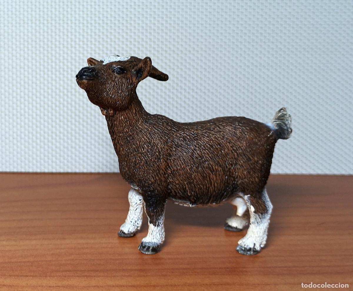 Figuras de goma y PVC: Figura Schleich - Cabra enana - Ref. 13715 - A&ntilde;o 2012 a 2017 - Descatalogada