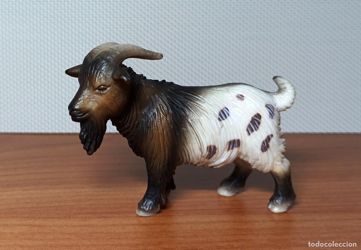 Figuras de goma y PVC: Figura Schleich - Macho de Cabra enana - Ref. 13602 - A&ntilde;o 2005 a 2011 - Descatalogada
