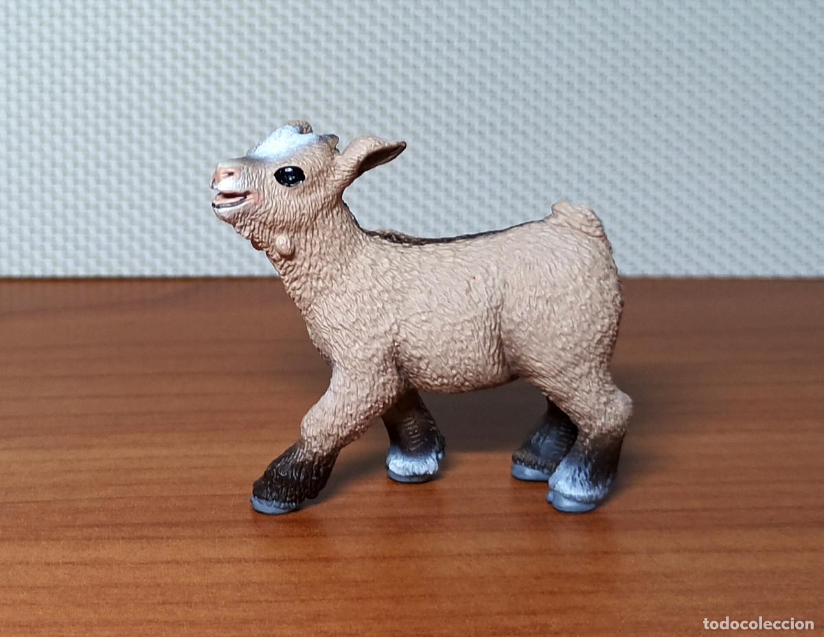 Figuras de goma y PVC: Figura Schleich - Cr&iacute;a de Cabra enana - Ref. 13817 - A&ntilde;o 2012 a 2014 - Descatalogada