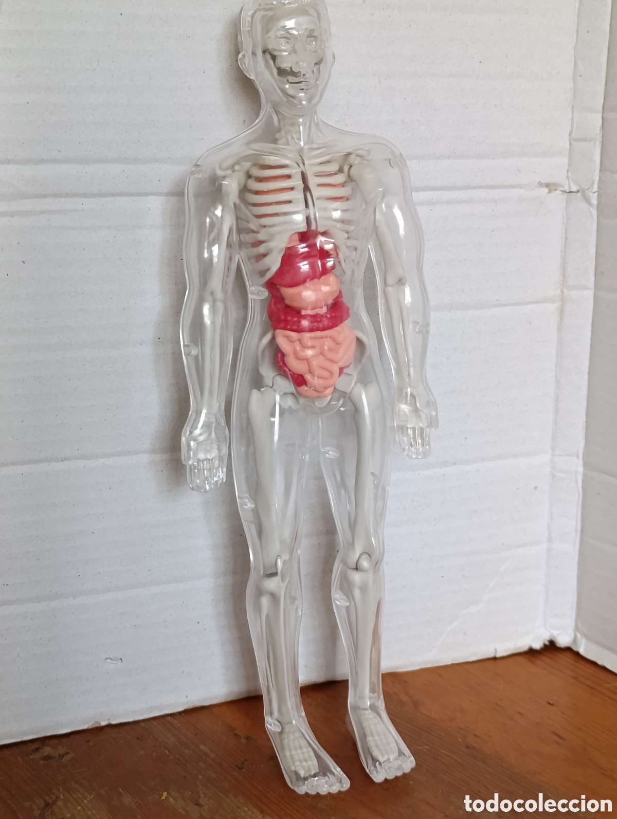 Figuras de goma y PVC: FIGURA PVC.ESQUELETO HUMANO.