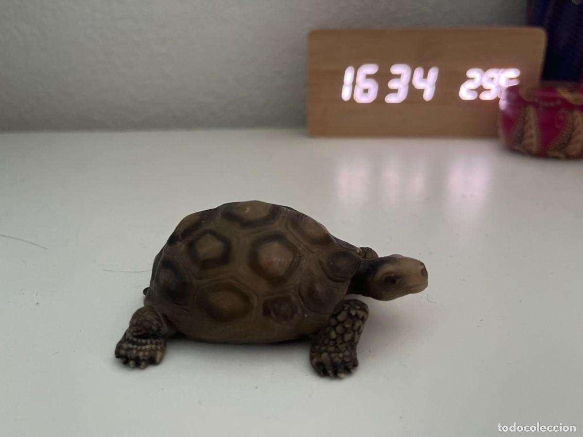 Figuras de goma y PVC: JUGUETE DE GOMA Y PVC ANIMAL SCHLEICH TORTUGA TERRESTRE 1991