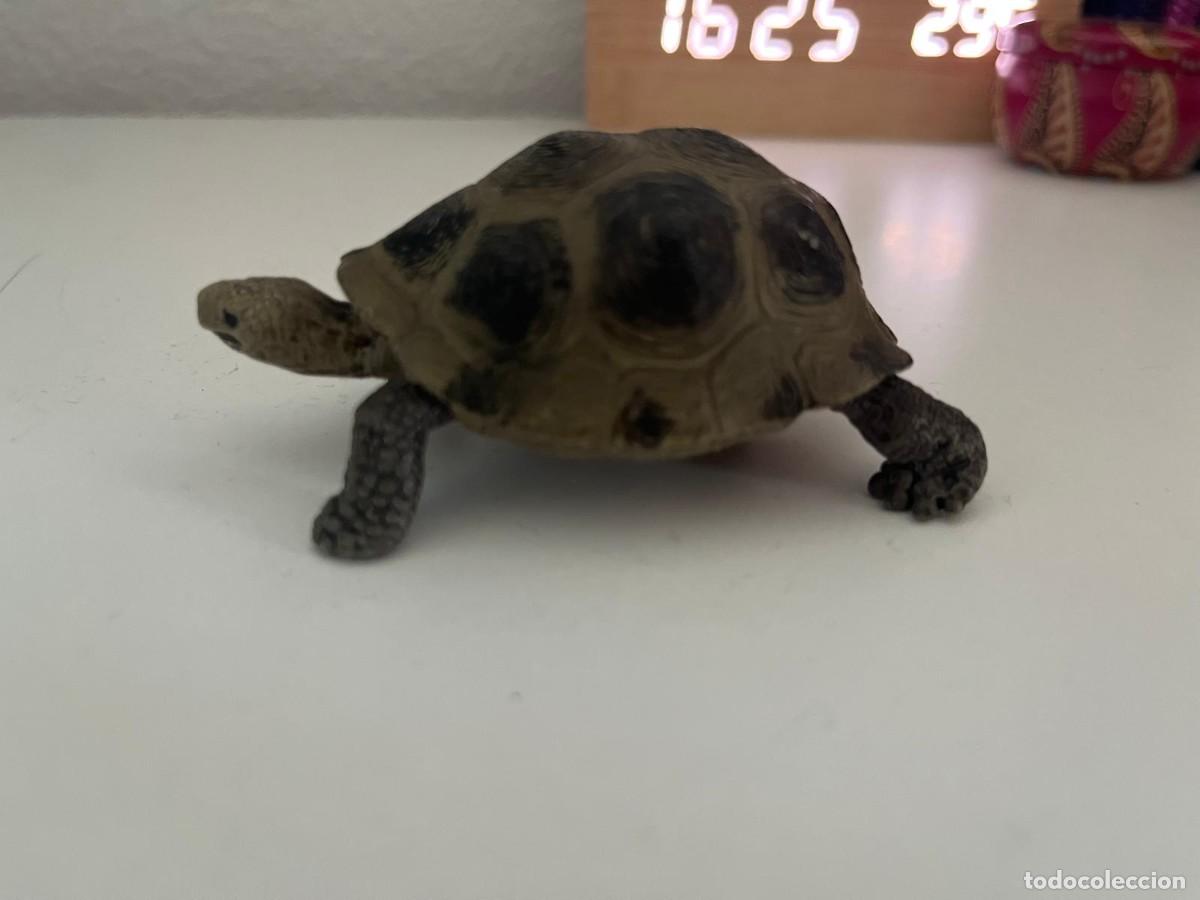 Figuras de goma y PVC: JUGUETE DE GOMA Y PVC ANIMAL SCHLEICH TORTUGA TERRESTRE 2009