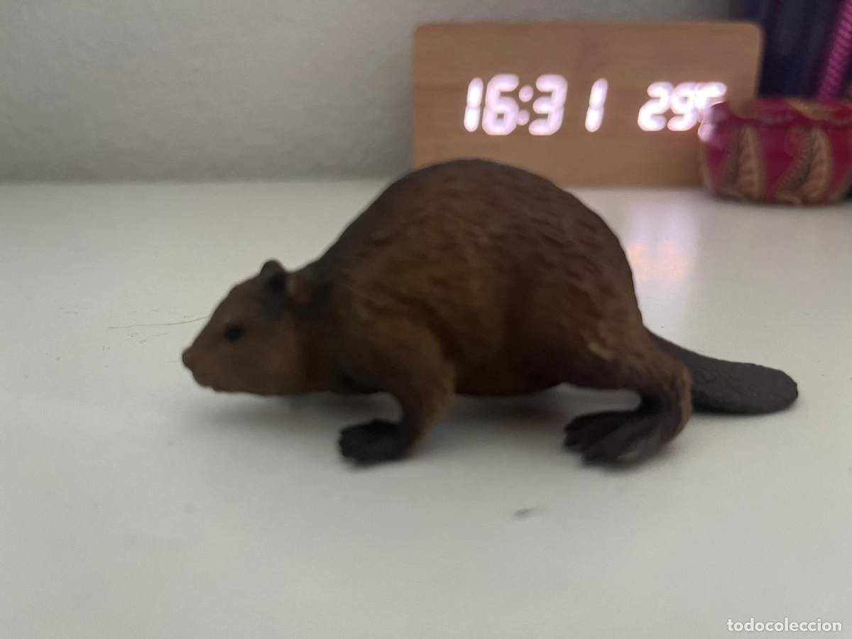 Figuras de goma y PVC: JUGUETE DE GOMA Y PVC ANIMAL COLLECTA TIPO SCHLEICH CASTOR MARRON 2010