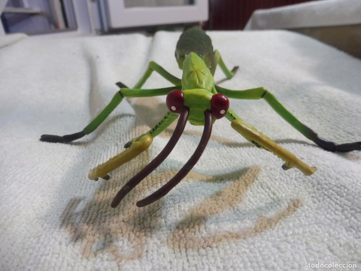 Figuras de goma y PVC: Mantis religiosa Insectos Gigantes Smithsonian, 1994 Safari