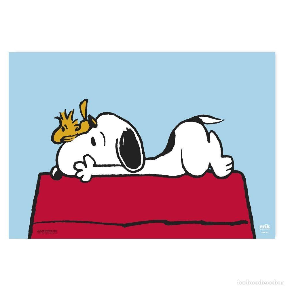 Figurines en Caoutchouc et PVC: Vade Escolar SNOOPY DOGHOUSE