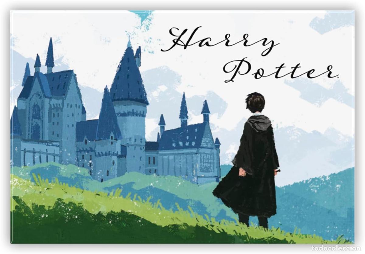 Rubber and PVC Figures: Iman Estandar Harry & Hogwarts - Harry Potter