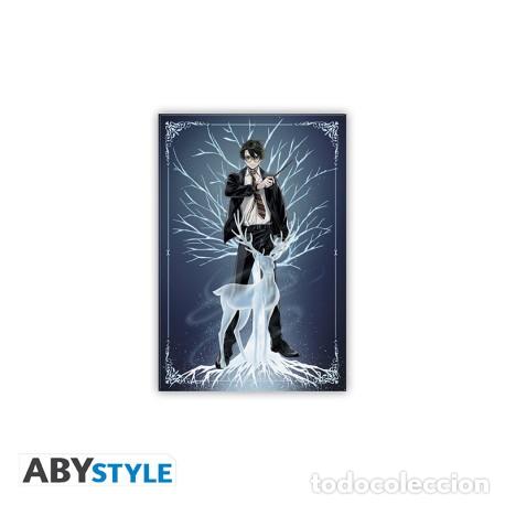 Rubber and PVC Figures: Im&aacute;n Est&aacute;ndar Harry Patronus - Harry Potter