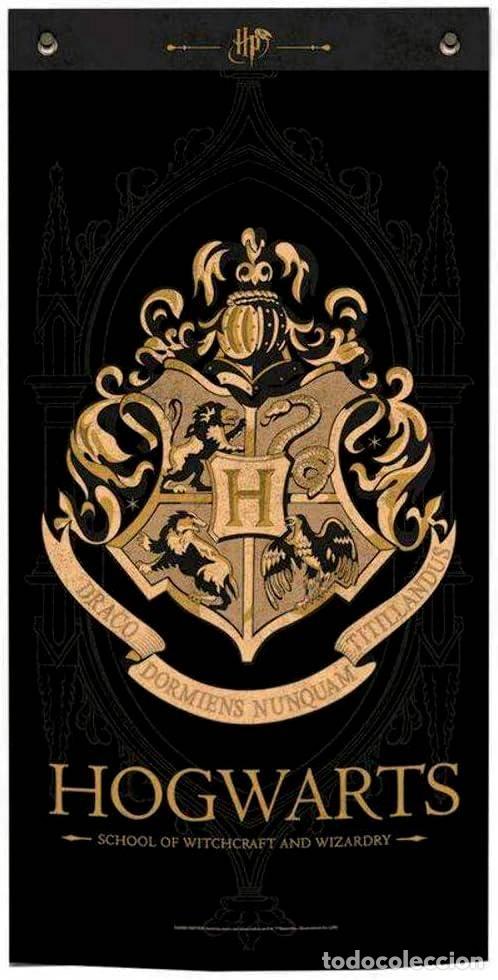 Rubber and PVC Figures: Banner de tela Hogwarts - Harry Potter