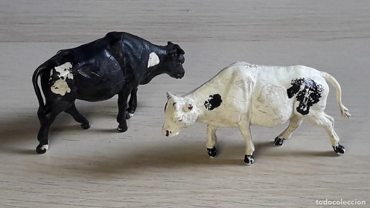Figuras de goma y PVC: Pareja de vacas reses rodeo Oeste, goma, Gama made in Spain, tipo Jecsan, original a&ntilde;os 50.