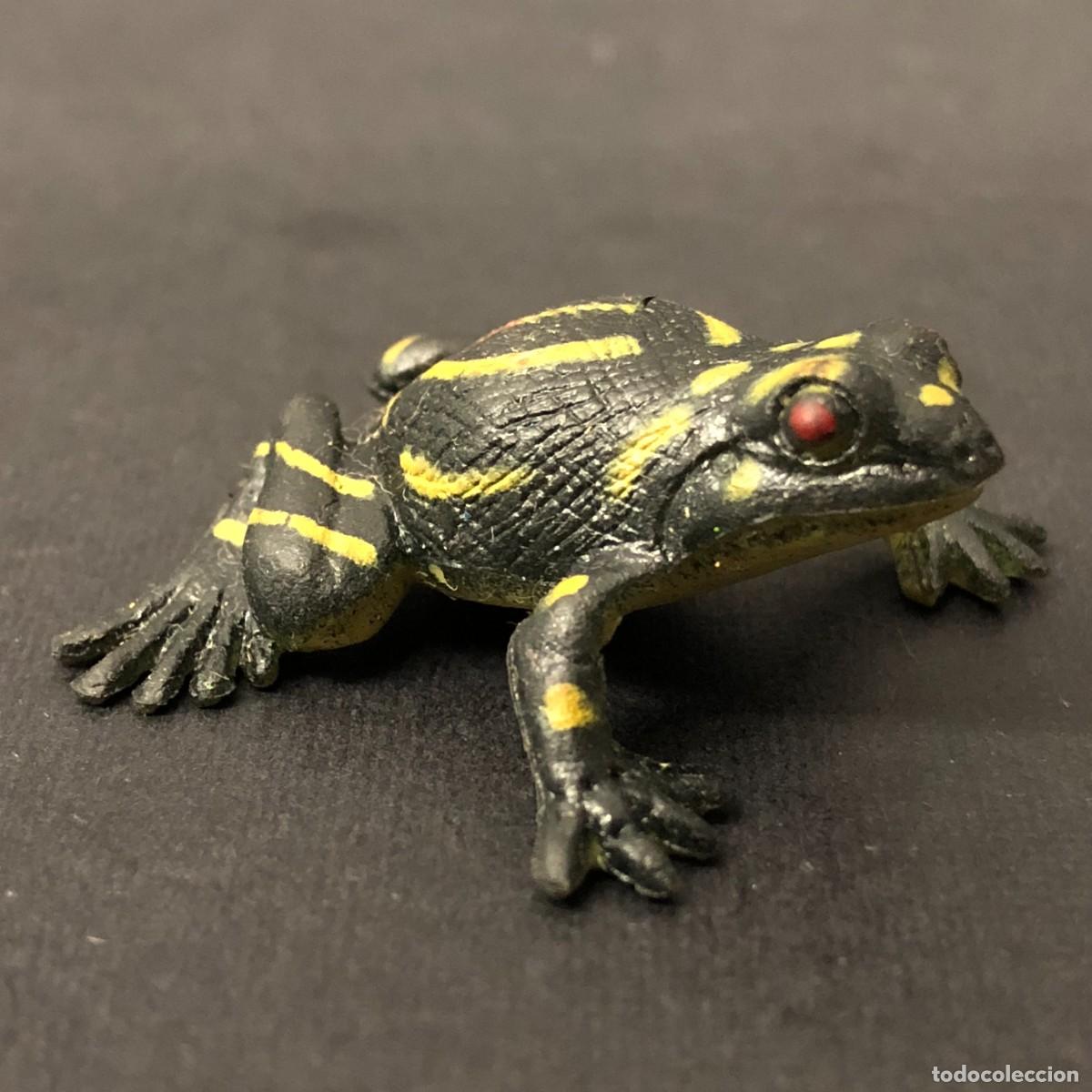 Figuras de goma y PVC: FIGURA DE PVC - RANA DE CORROBOREE - PLAY VISIONS - REPLICA DE ANFIBIO - 3 X 3 CM / 12