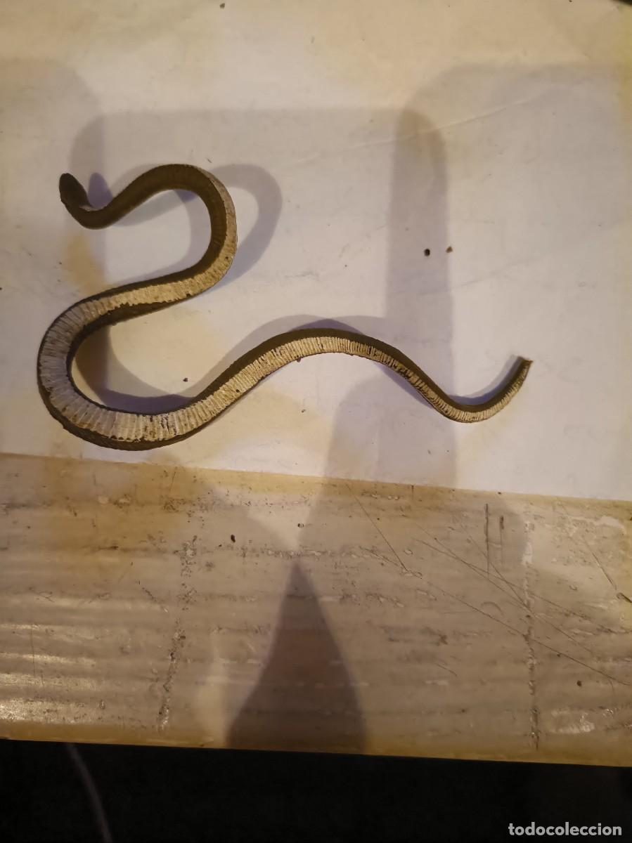 Figuras de goma y PVC: FIGURA PVC GOMA SERPIENTE SIN MARCA