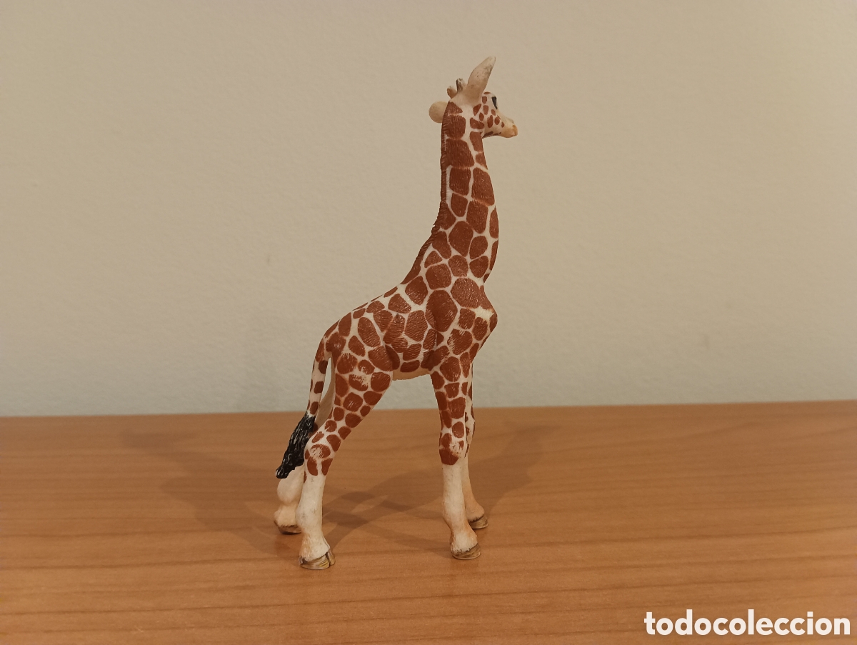 Figuras de goma y PVC: Schleich Dinosaurio & Animales - Foto 7