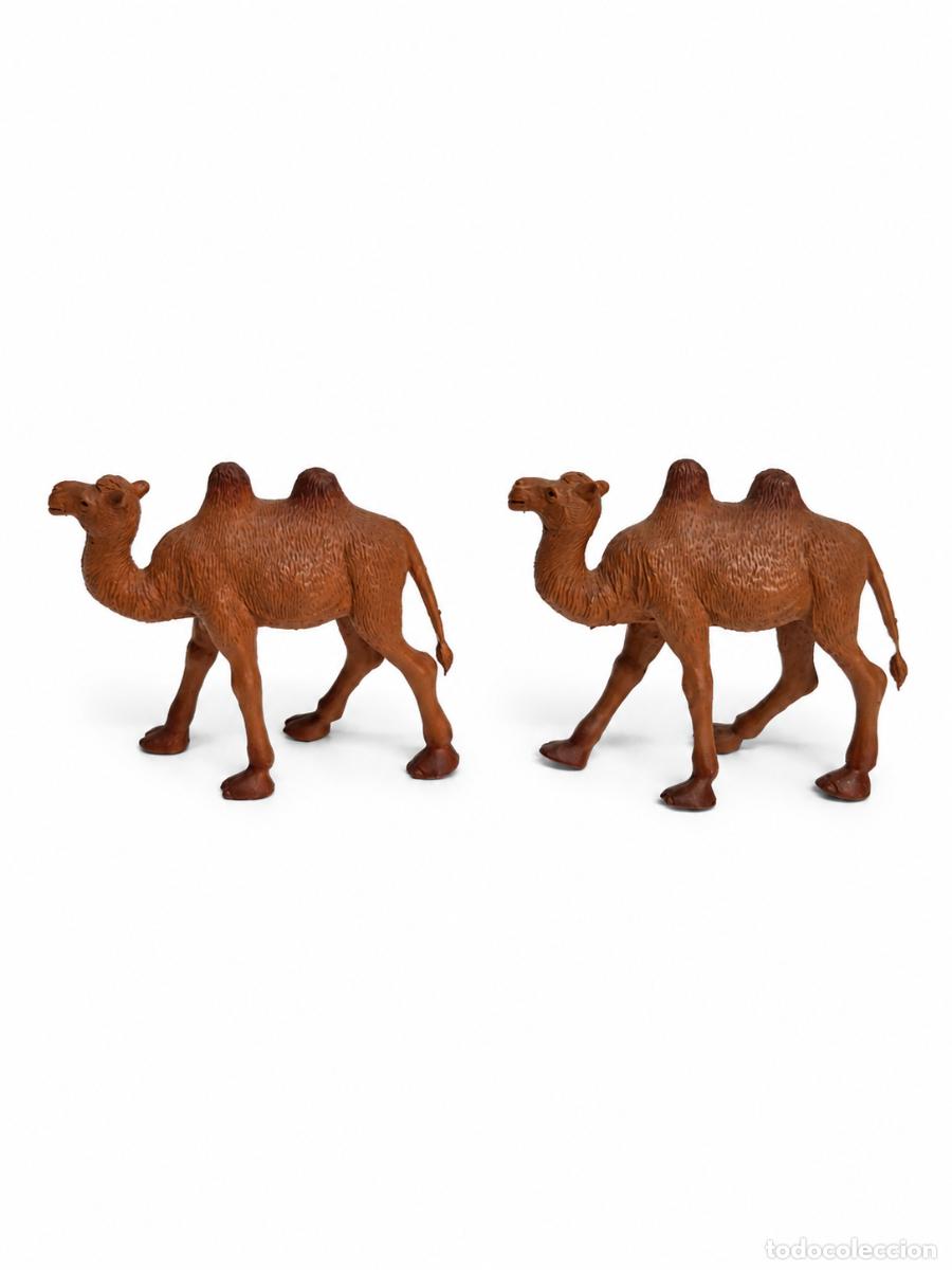 Figuras de goma y PVC: Pareja de Figuras PVC - Camellos