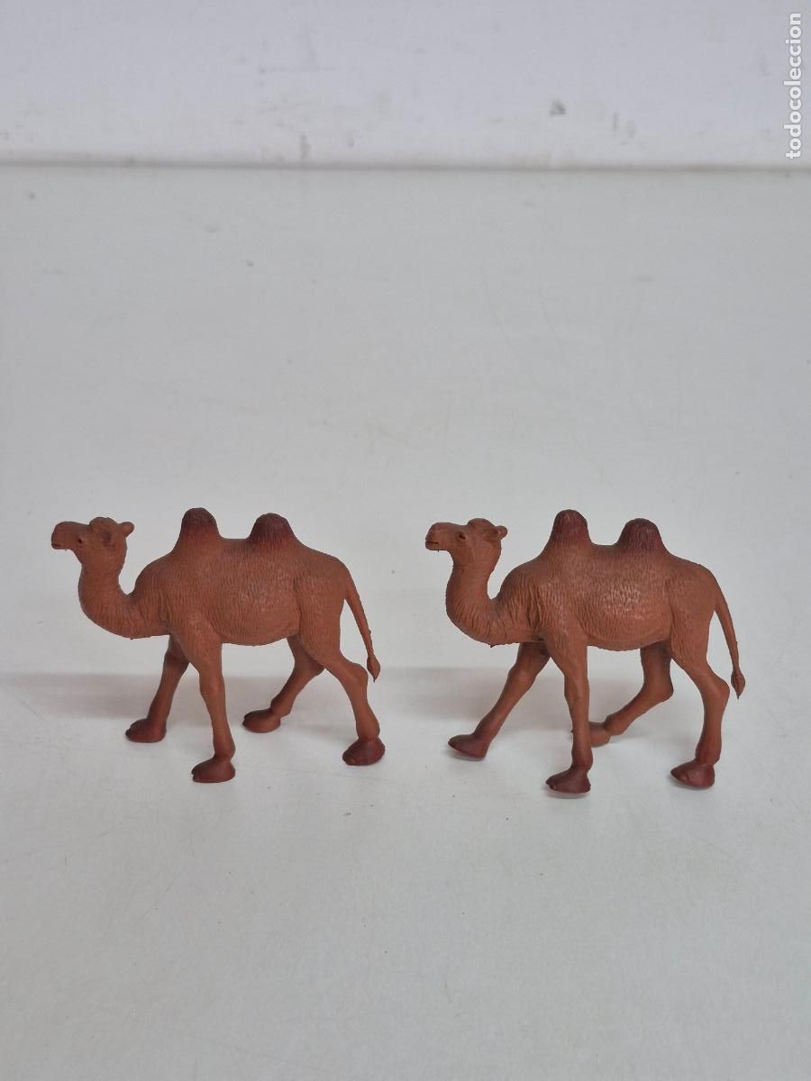 Figuras de goma y PVC: Pareja de Figuras PVC - Camellos