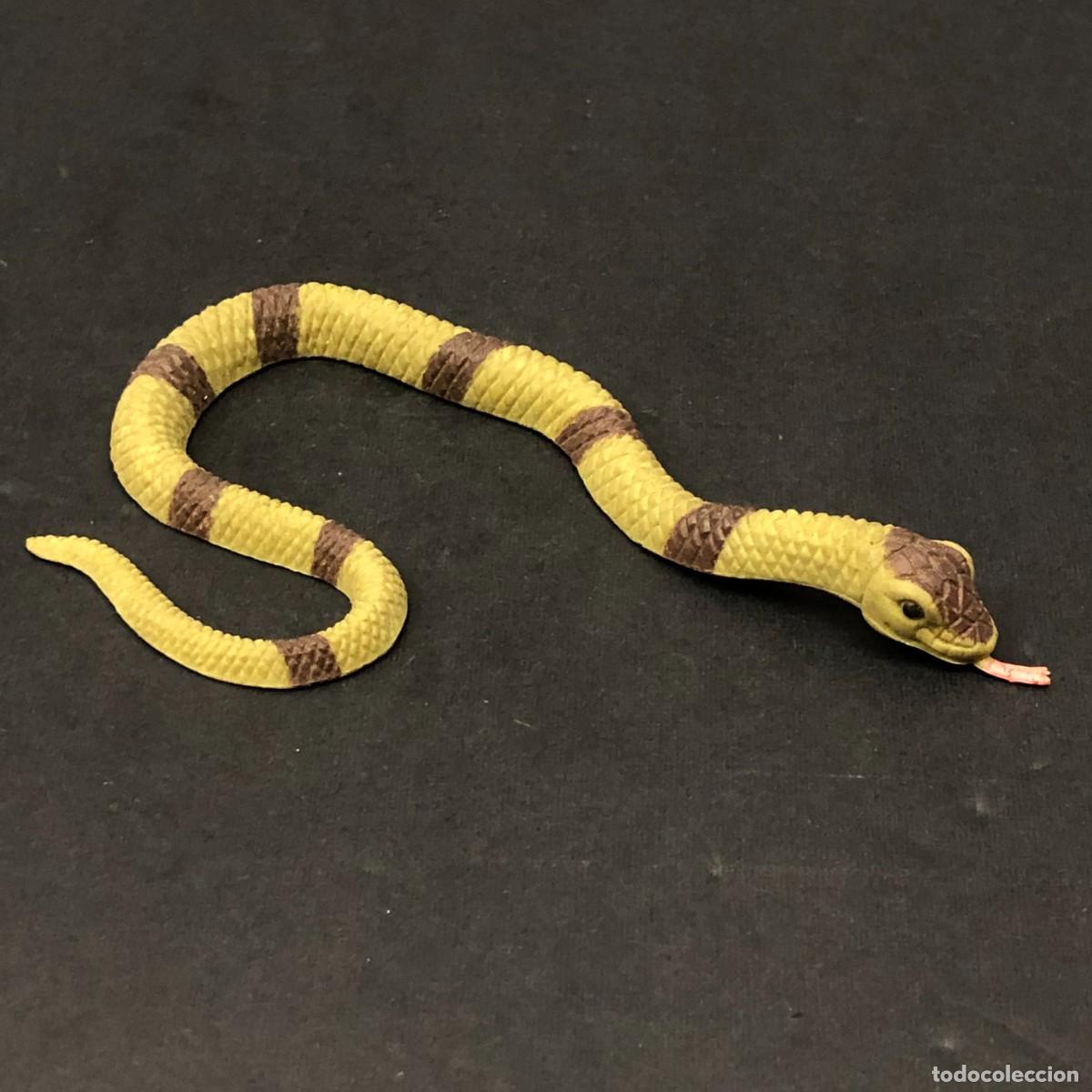 Figuras de goma y PVC: FIGURA DE PVC - SERPIENTE - KRAIT BANDEADA - SAFARI - 11 X 6 CM / 216