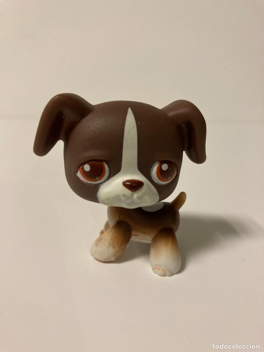 Figuras de goma y PVC: Juguete Littlest Pet Shop #110