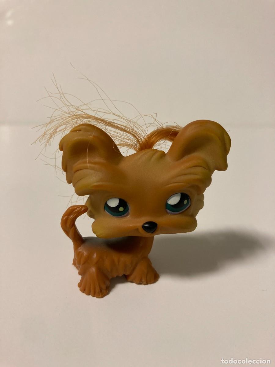 Figuras de goma y PVC: Juguete Littlest Pet Shop #111